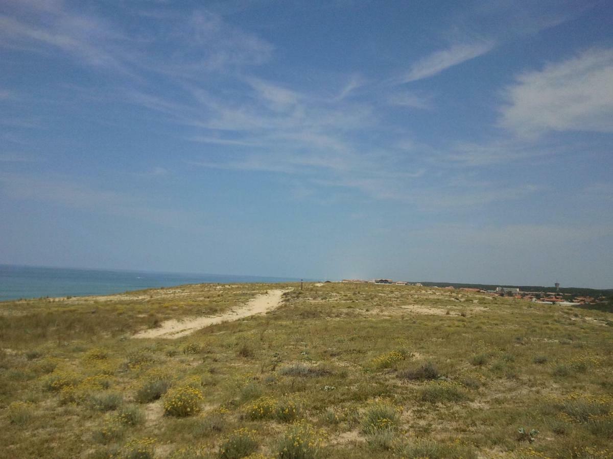 La Pinède Océane,400m des plages Mimizan Esterno foto